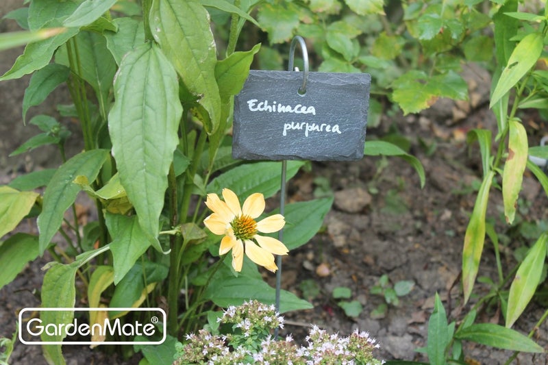 GardenMate 10-Pack Natural Style Slate Plant Labels (4"x 2 3/4") Hanging from a Stainless Steel Metal Rod (22") - Image 3